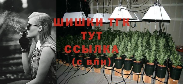 мяу мяу мука Беломорск