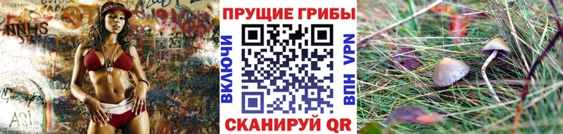 Галлюциногенные грибы прущие грибы  Мегион 